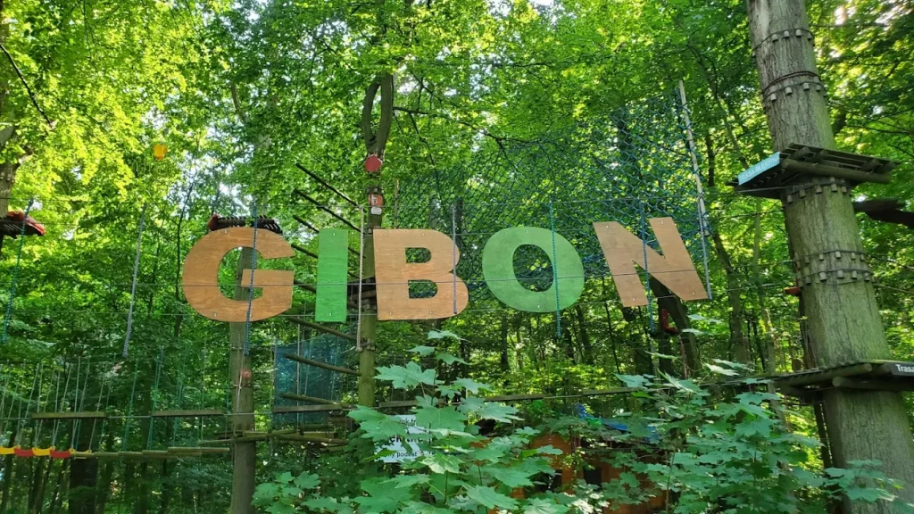 Park Linowy Rewal Gibon