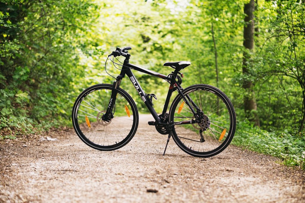bicycle, bike, forest, path, sports, outdoors, dirt road, mountain bike, wheels, bicycle wheels, parked, park, woods, bicycle, bicycle, bicycle, bicycle, bicycle, nature, bike, bike, bike, bike, mountain bike